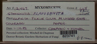 Image Associated With the Occurence